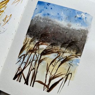 25. Větřík - podzimní větřík #petrahorcickova #watercolourbrush #watercolor #akvarel #aquarelle #czech #artikon...