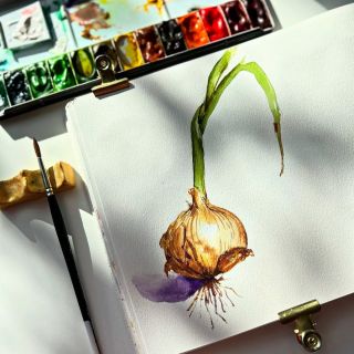 27. Cibule - Jedna tak akorát ze záhonu. #petrahorcickova #watercolourbrush #watercolor #akvarel #aquarelle #czech...