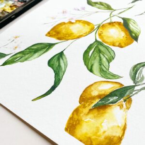 Akvarelové citrony pro začátečníky